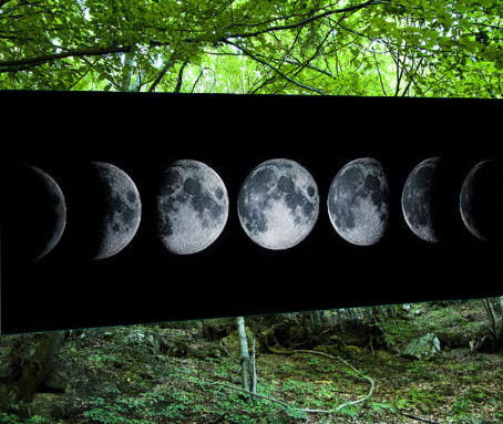 Andare a Tartufi Fasi Lunari | GIUGNO 2026