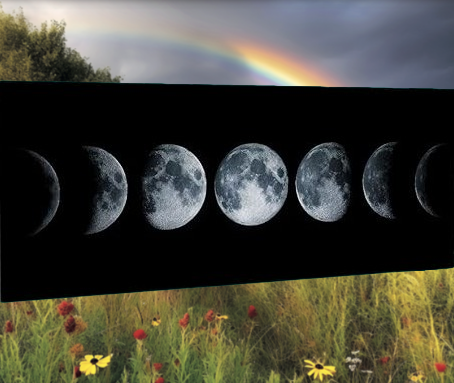 Andare a Tartufi Fasi Lunari | AGOSTO 2026