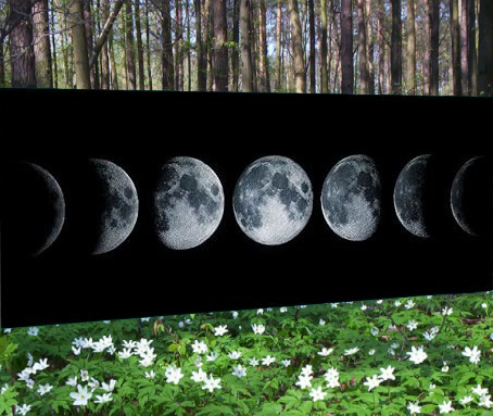 Andare a Tartufi Fasi Lunari | APRILE 2026