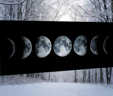 Andare a Tartufi Fasi Lunari | DICEMBRE 2026