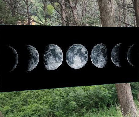 Andare a Tartufi Fasi Lunari | FEBBRAIO 2026