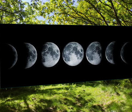 Andare a Tartufi Fasi Lunari | MAGGIO 2026