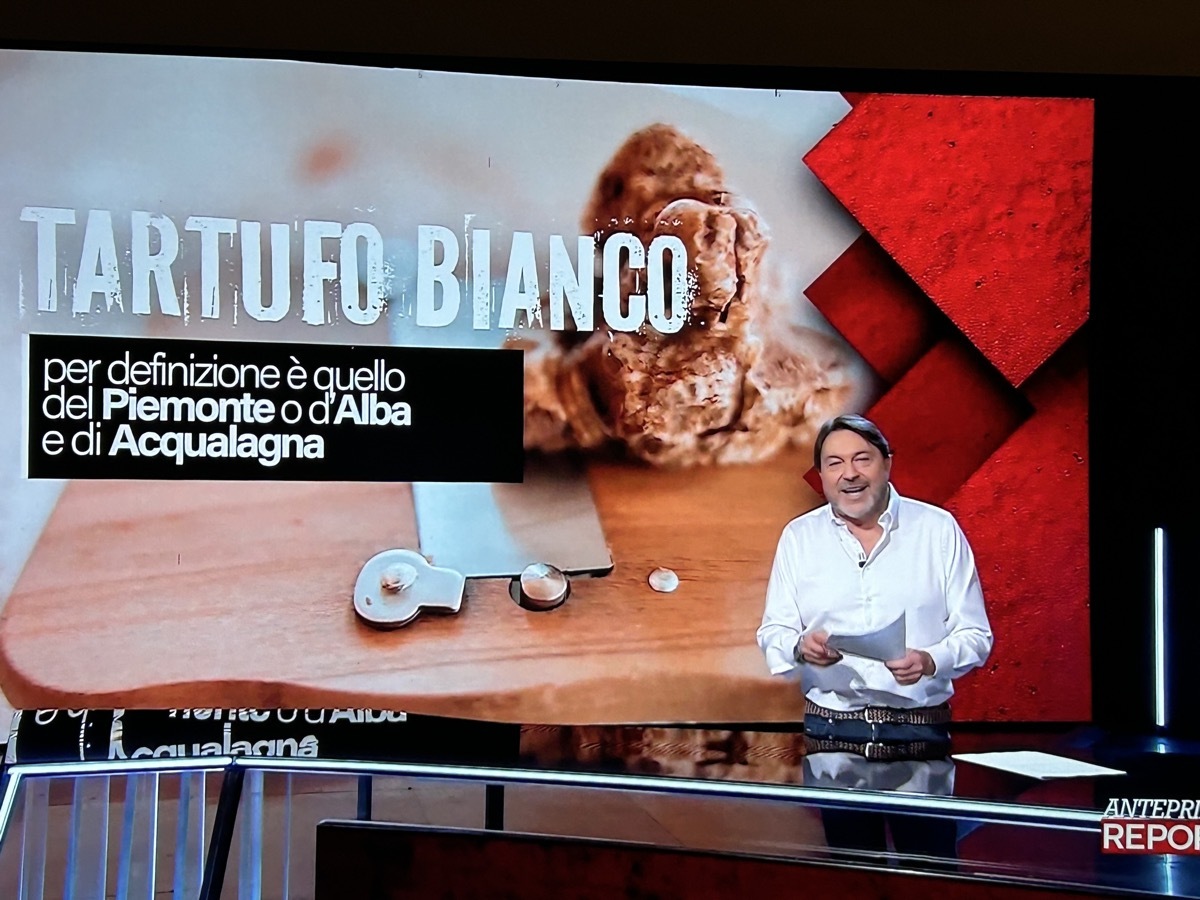 Alba e il suo tartufo nel mirino di “Report”: prime reazioni dopo la messa in onda. Degiacomi: “La nostra Fiera unica in Italia a fare un controllo di qualità sul venduto”