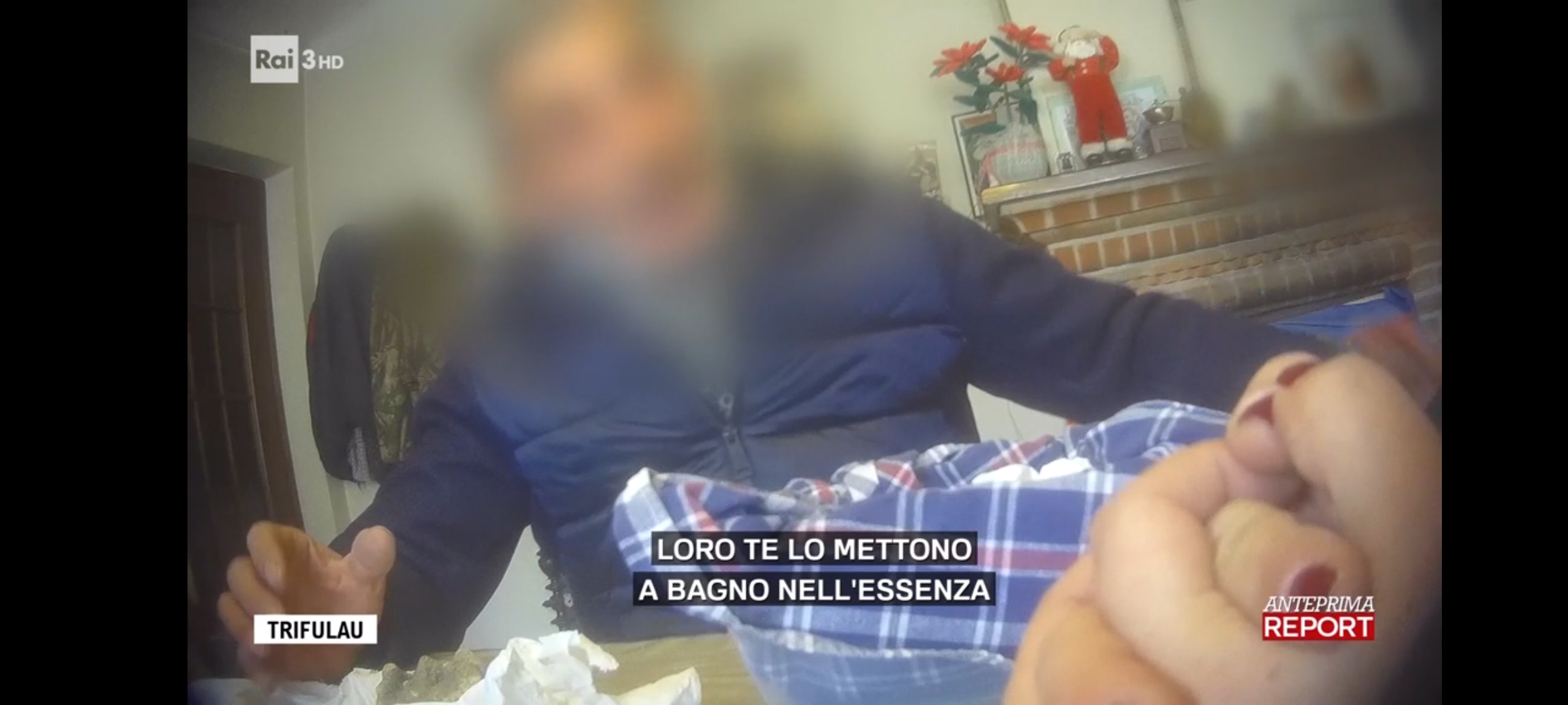 Da dove arriva tutto il tartufo venduto ad Alba? L’indagine di Report che getta ombre sull’indotto