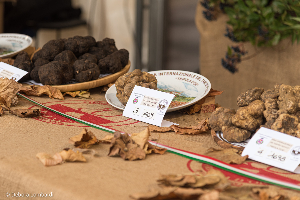 Dal tartufo nero alla tutela Unesco: il Centro Nazionale Studi Tartufo amplia il lavoro sul territorio
