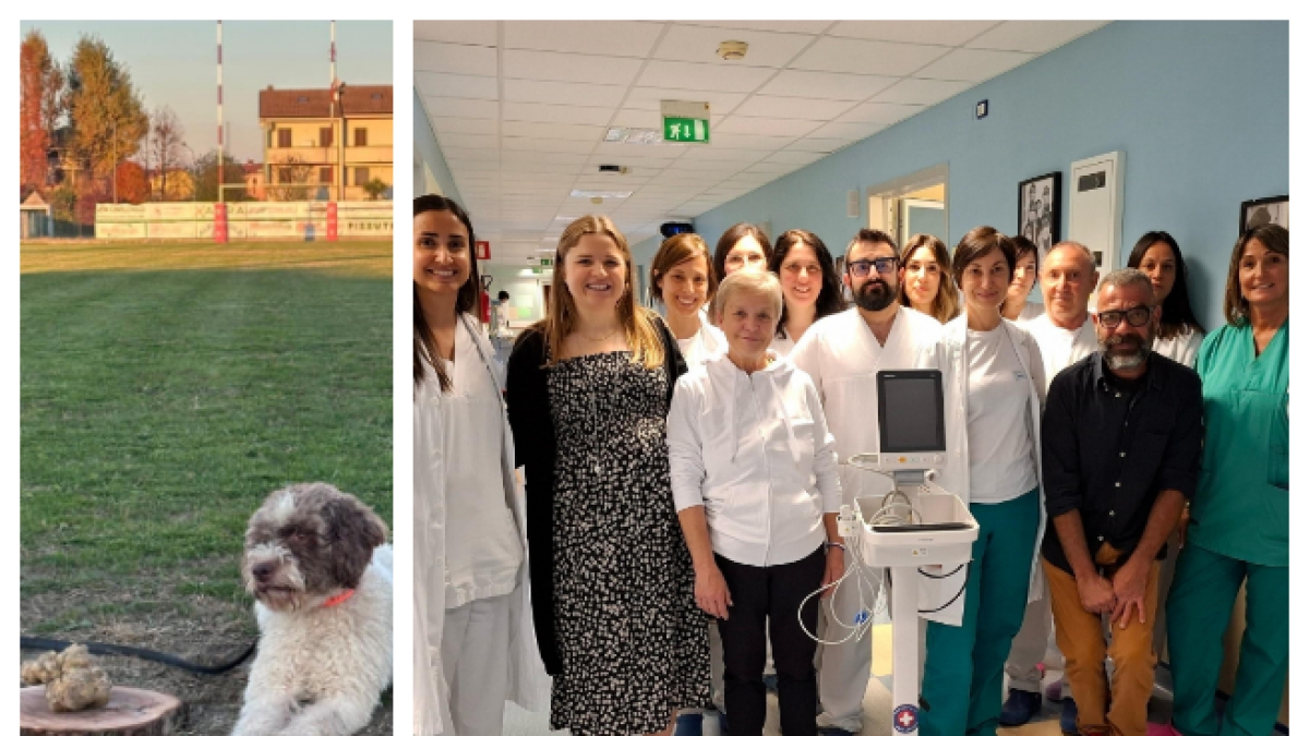 Parma, un tartufo bianco da 600 grammi e la donazione all’ospedale Maggiore: «Ha permesso l’acquisto di un monitor speciale per chi è colpito da ictus»