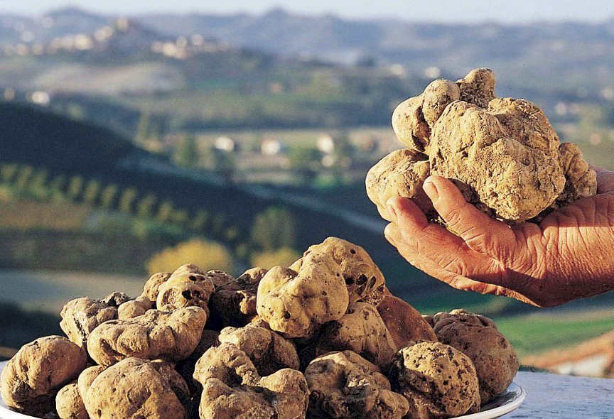 Alla scoperta dell’oro delle Langhe: una domenica tra natura e sapori a Briaglia