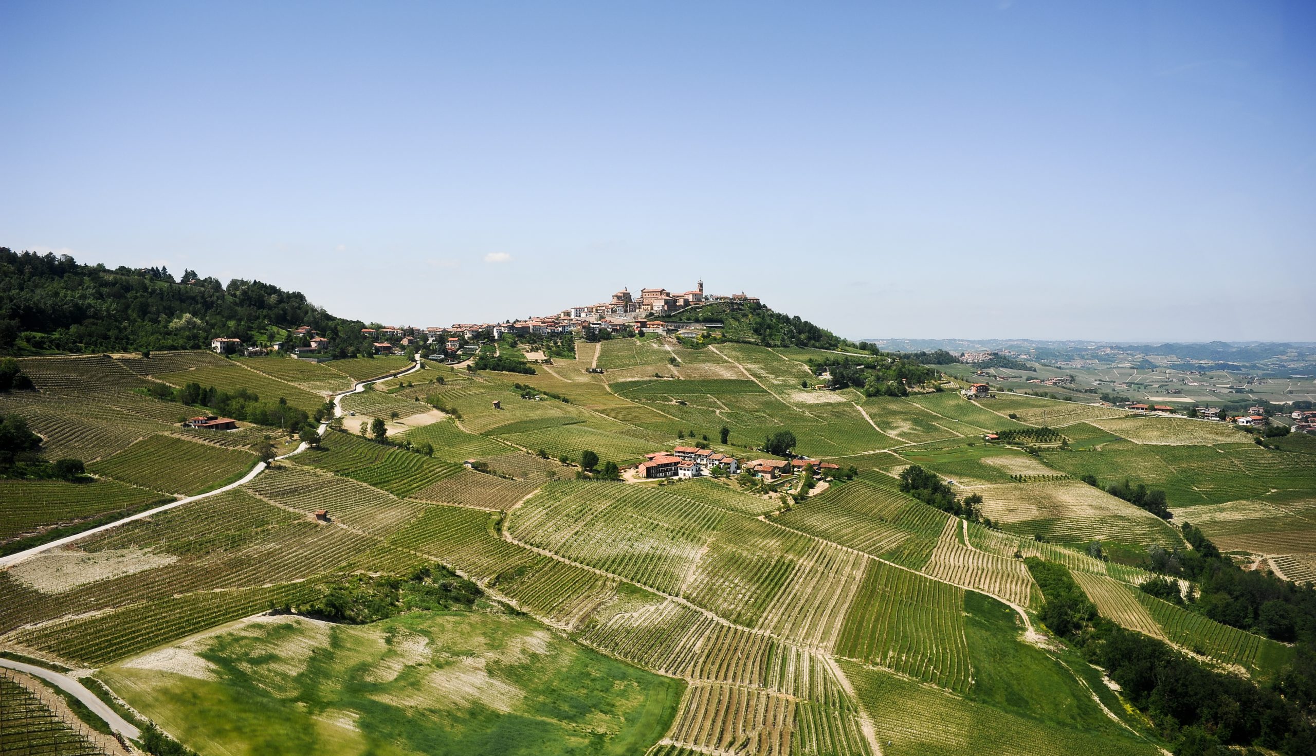 La forza del turismo enogastronomico: il âcasoâ Langhe e il Consorzio Albeisa