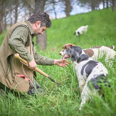 Montalcino: a San Giovanni d’Asso il 20 e il 21 giugno è di scena “L’altro tartufo – Lo Scorzone”. Il tartufo scorzone torna protagonista tra le Crete Senesi con due giornate di assaggi e degustazione