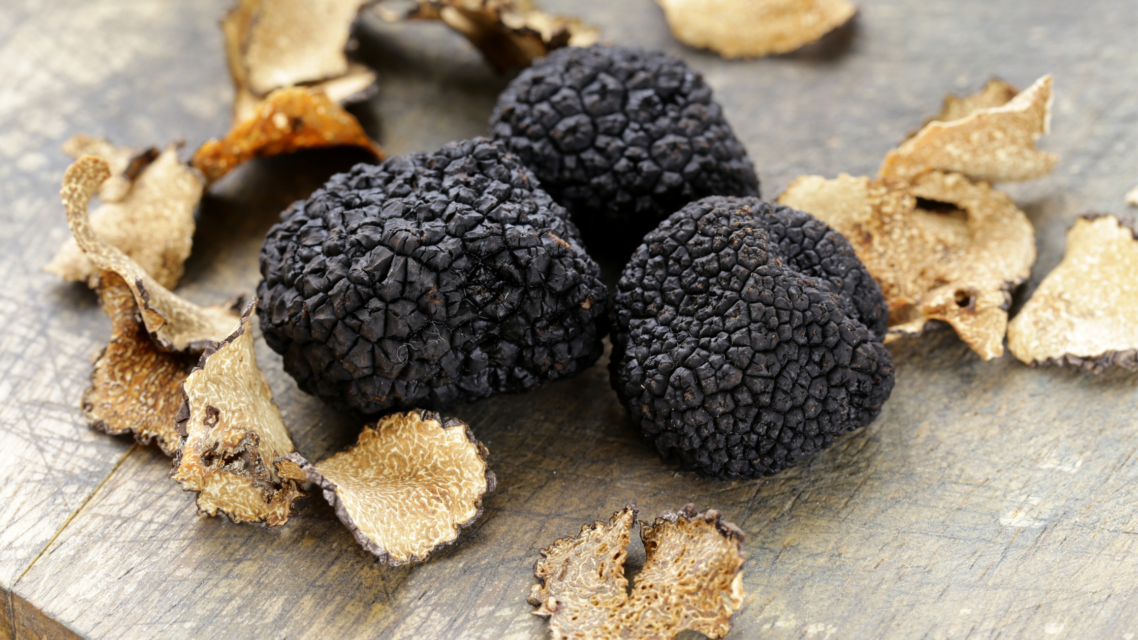 Regione Campania, tartufo: tavoli tecnici per valorizzazione della filiera