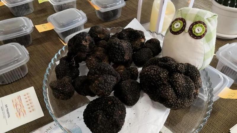 Tartufo risorsa per il Baldo. Siglato l’accordo nazionale