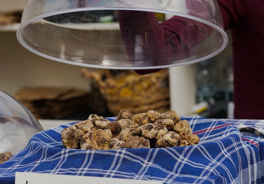 Una Mostra mercato rinnovata e più social