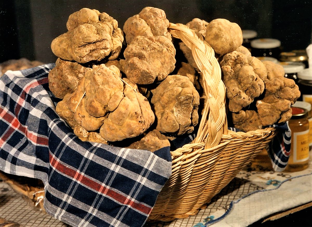 Masaf e Città del tartufo firmano protocollo d’intesa