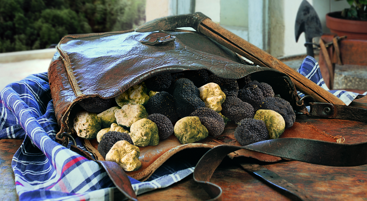 A Campello sul Clitunno il tartufo è una storia di famiglia