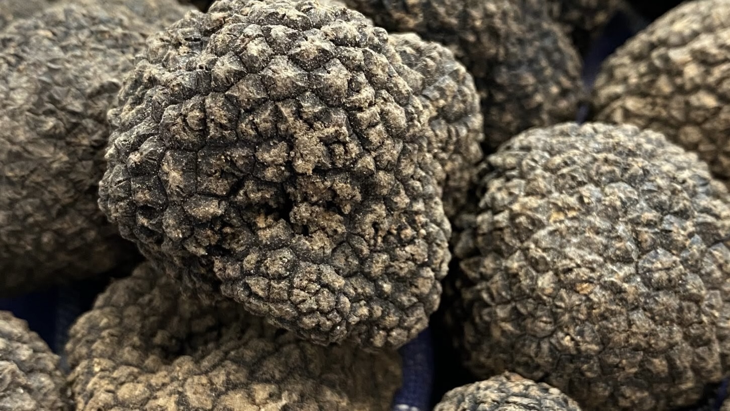 Torna la Festa del Tartufo a Torre Palomba: degustazioni, musica e sapori della Murgia
