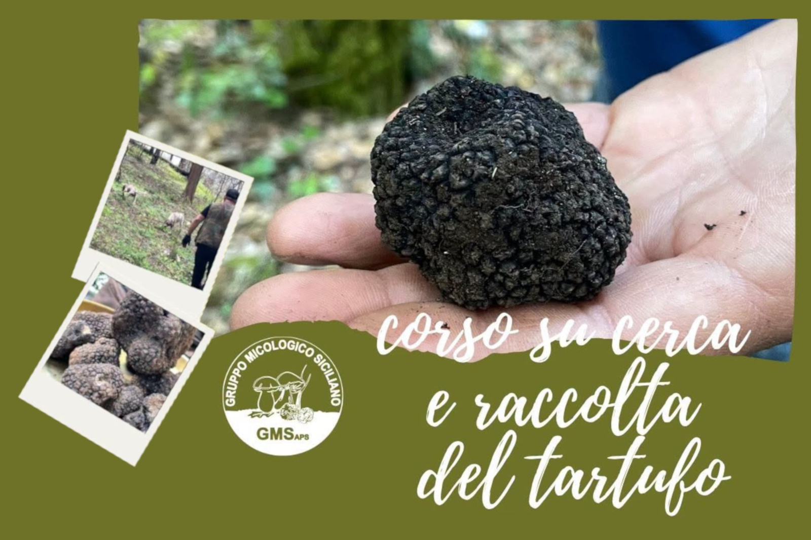 Cercare e raccogliere i tartufi in Sicilia: a Palermo un corso per conseguire il patentino