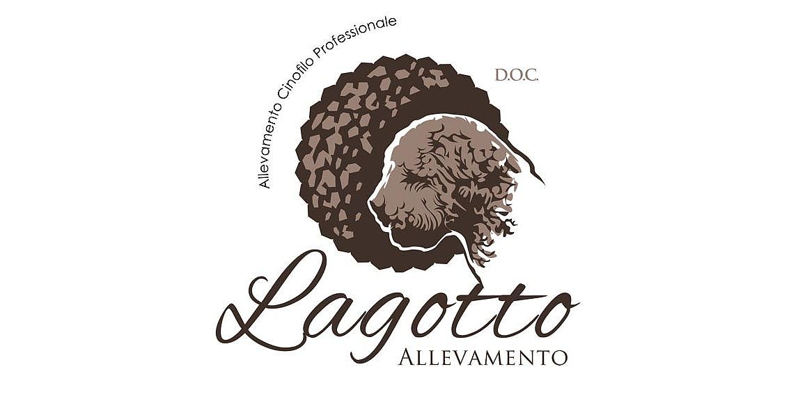 Allevamento Lagotto Romagnolo, cane da tartufo italiano