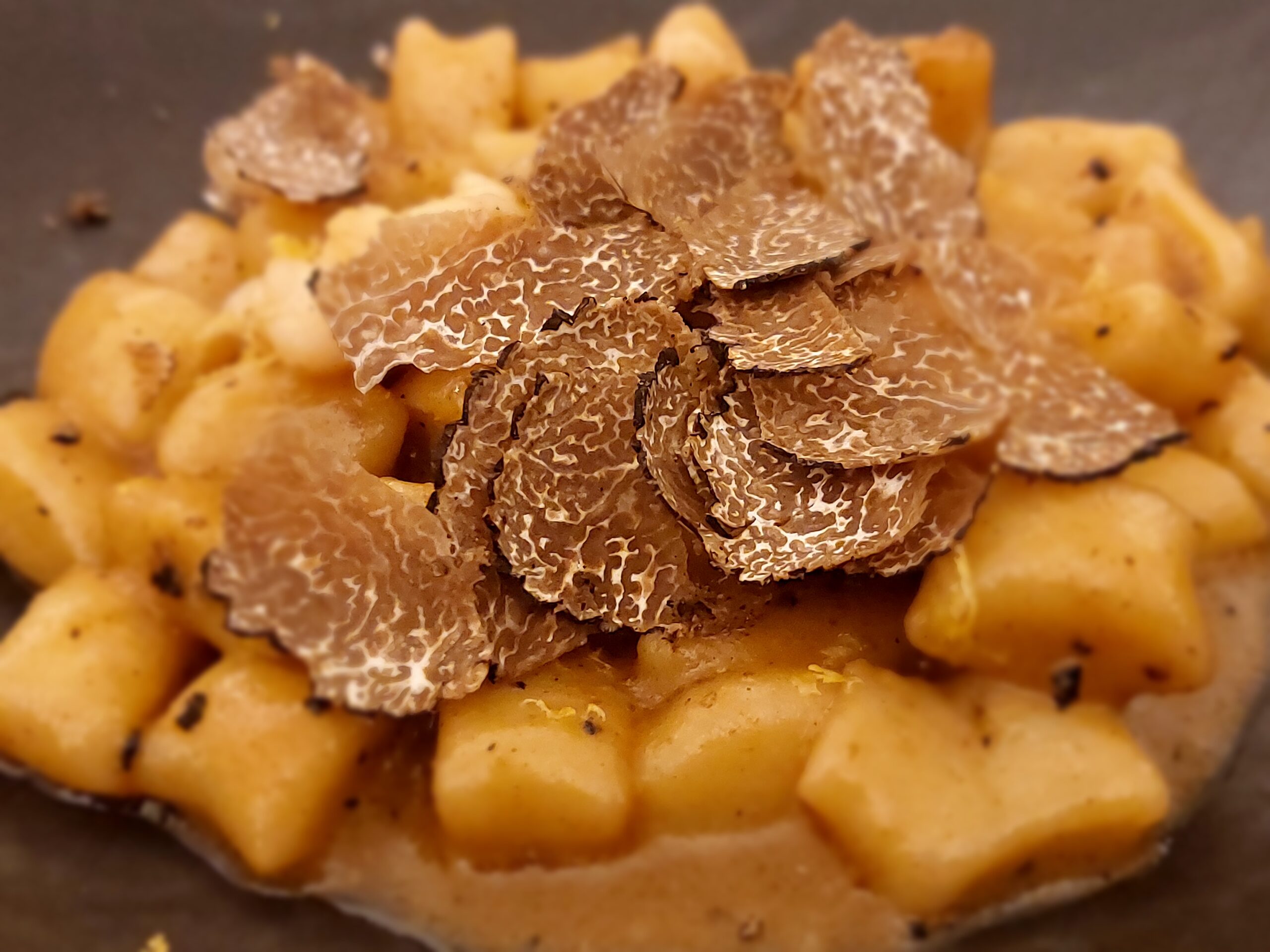 Pesce, vini bianchi di montagna e tartufo nero estivo – Zipnews.it Pesce, vini bianchi di montagna e tartufo nero estivo