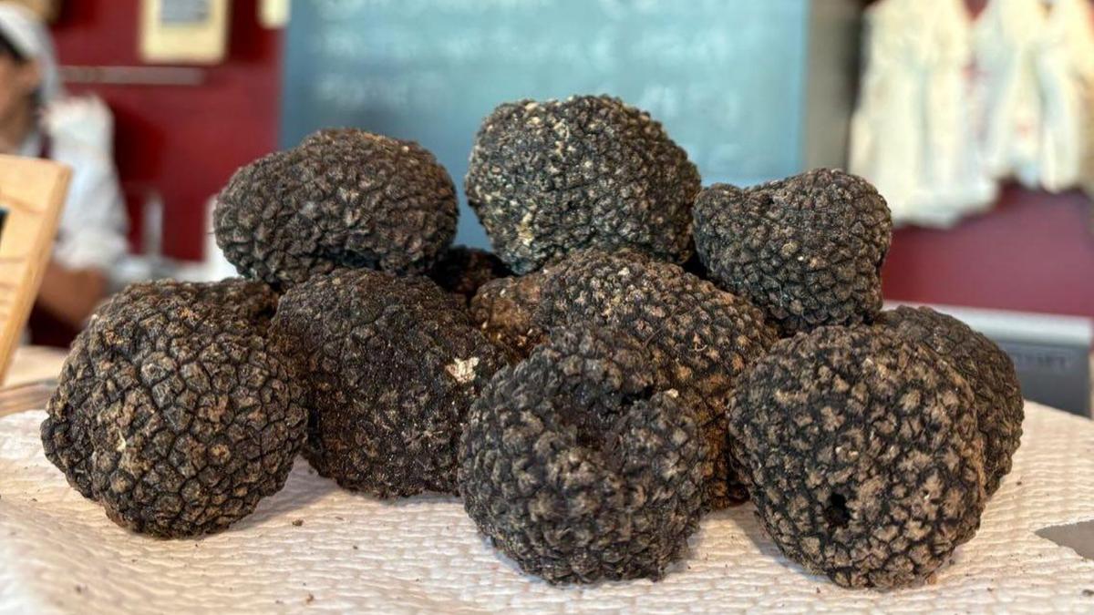 Summer truffle party a Pecorara (Piacenza)