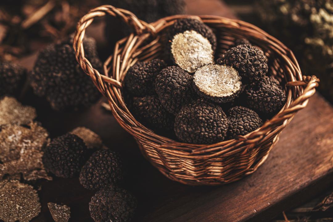L’azienda Sassone protagonista del progetto De.C.O. del Tartufo Nero di Montegiordano
