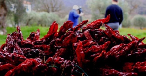 Le eccellenze alimentari valorizzate dalle sagre in Basilicata
