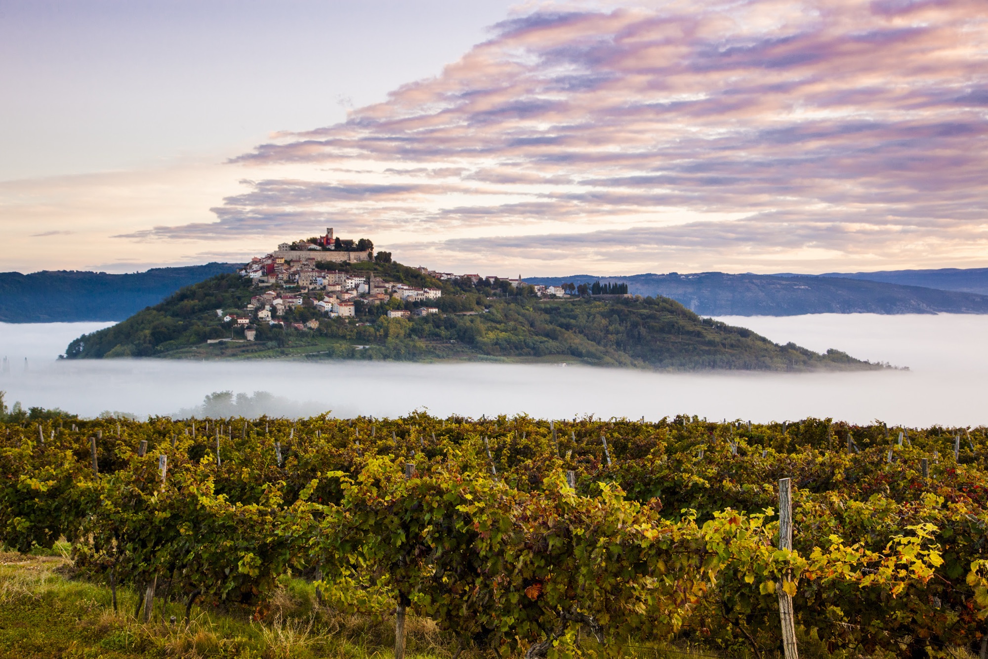 Gastronomia Istriana in Autunno: Oltre i Tartufi, Un Viaggio di Sapori Autentici e Tradizioni Riscoperte