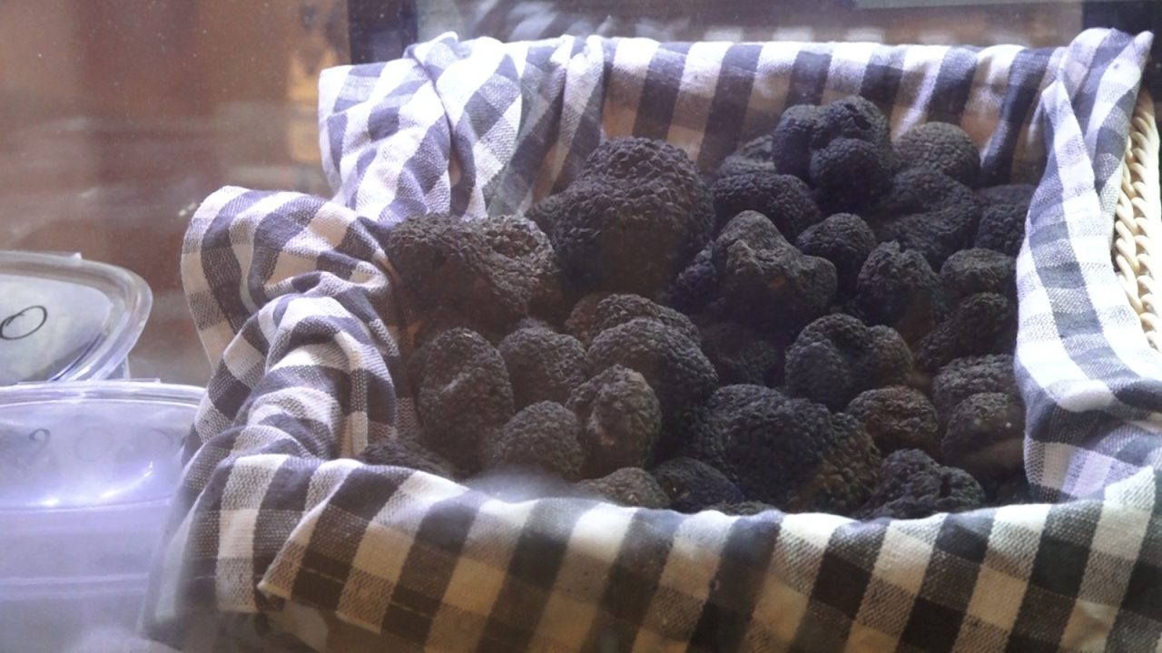 TuberFest conquista Cascia, folla per il tartufo dell’estate