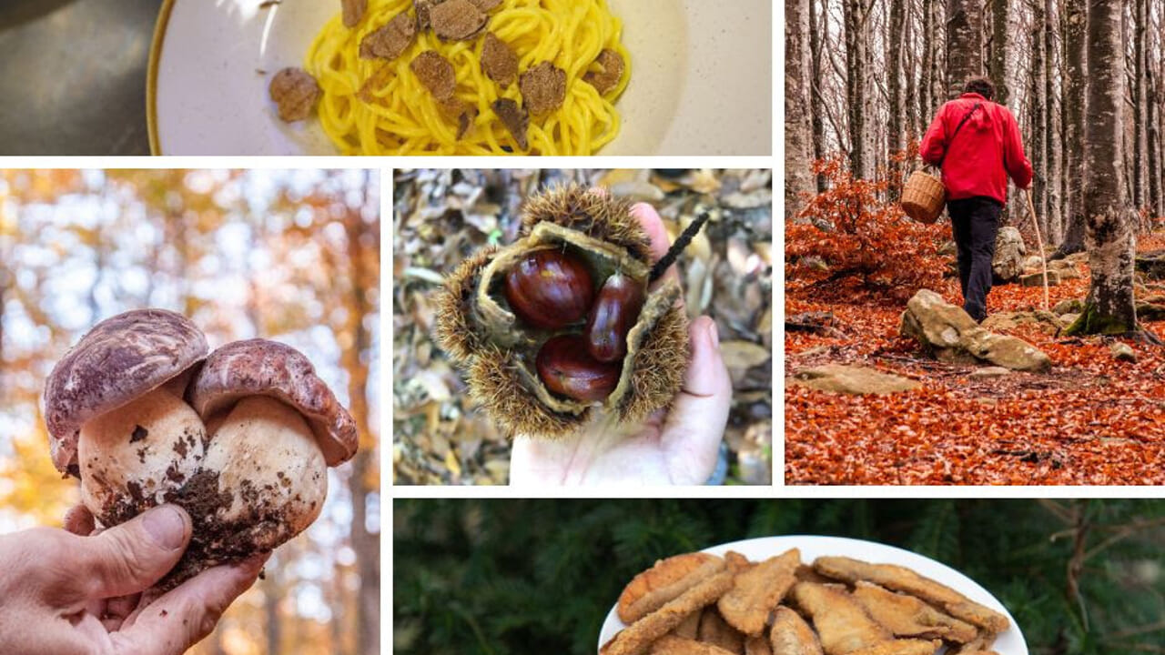 L’autunno in Alta Val Taro e Val Ceno profuma di bosco
