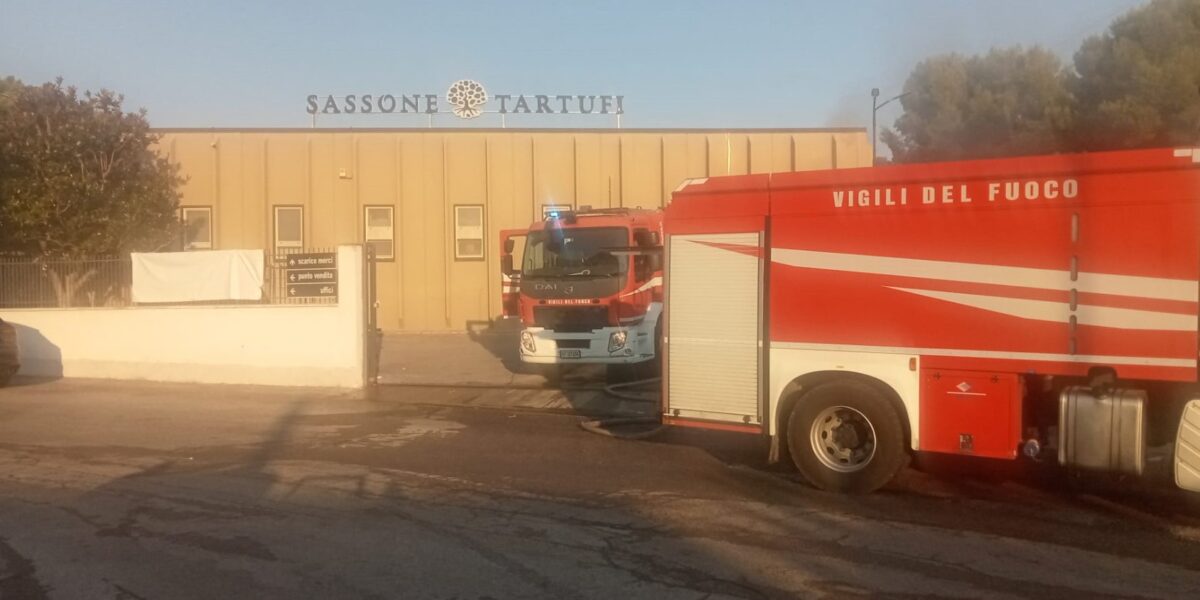 Montegiordano, attentato incendiario alla “Sassone Tartufi”