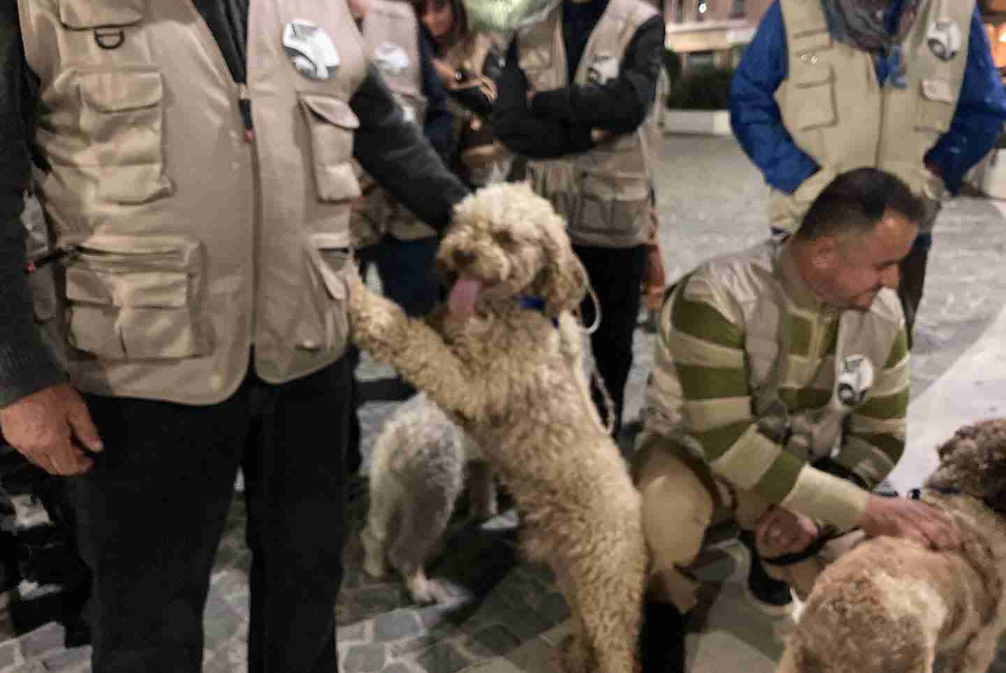 Alba: il Capodanno del Tartufo inaugura la nuova stagione tra eventi, teatro, sfilate notturne e brindisi in piazza – Il Corriere di Alba Bra
