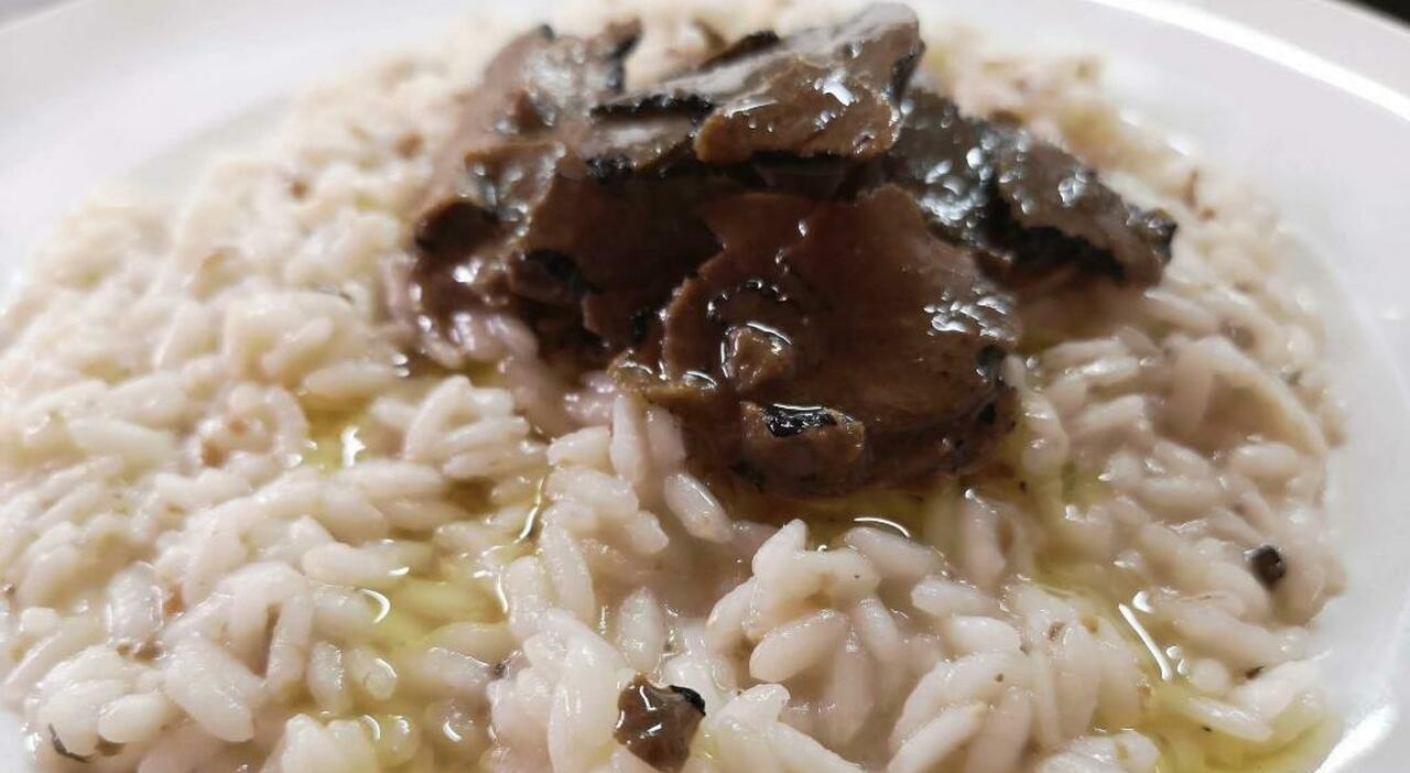 Sagre da non perdere, ecco i tre appuntamenti immancabili: dal tartufo al fungo porcino al Ciammellocco