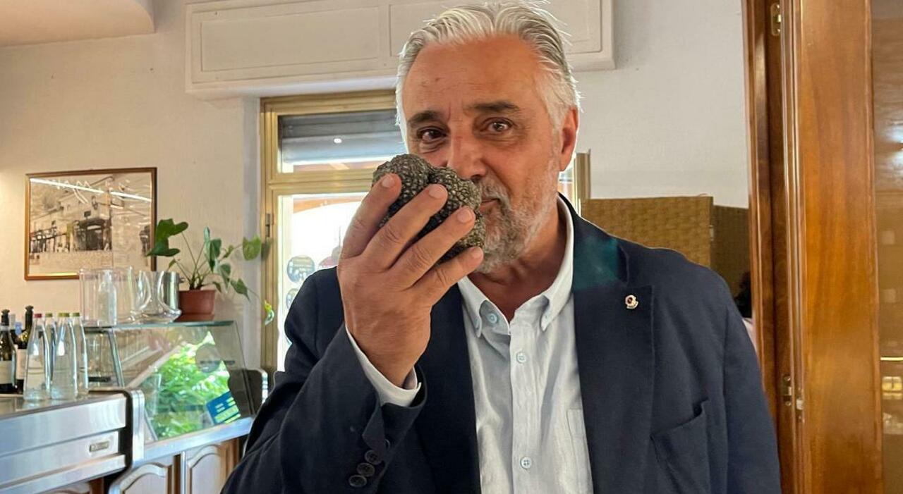 61ª Fiera del Tartufo Bianco ad Acqualagna al via tra un mese: numeri da record e un nuovo modello di gestione con le “Città del Tartufo”