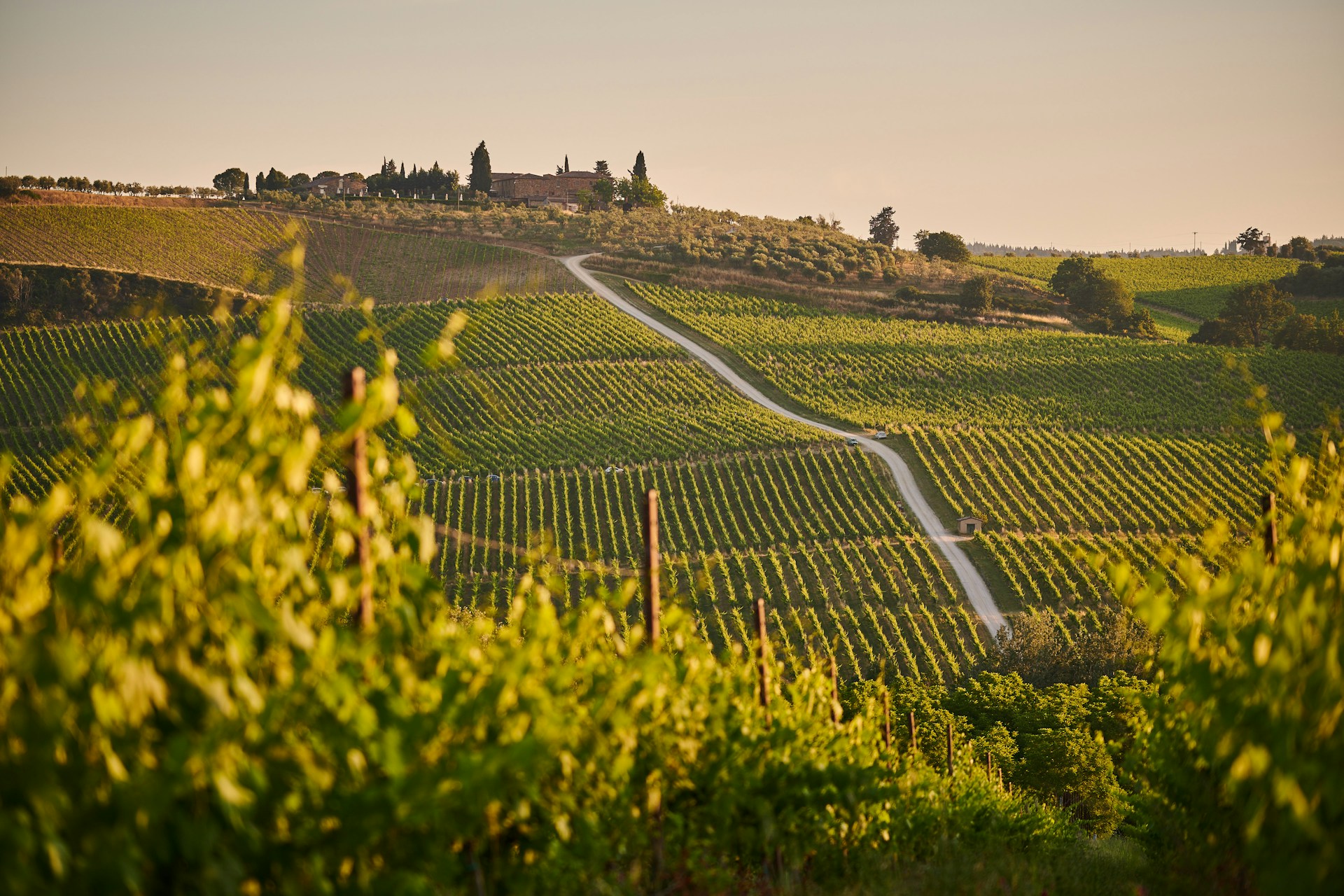 Turismo slow: dove andare tra sagre, vendemmia e tartufo (e dove dormire senza spendere una fortuna)