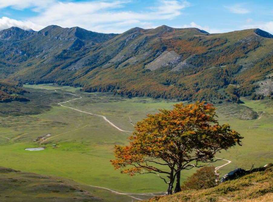 Parco Sirente Velino “Sapori e Benessere” punta su miele, tartufo, turismo e sostenibili