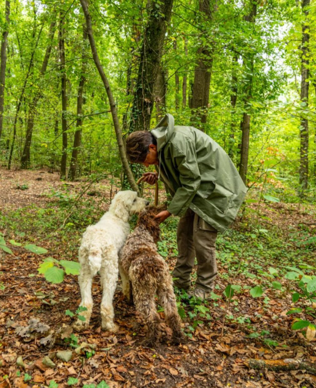 Camminata sul tartufo
