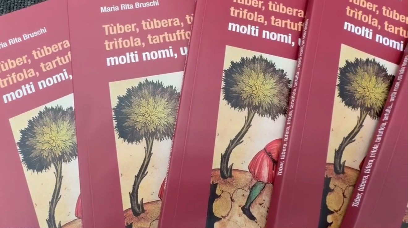 Il tartufo raccontato in un libro: a Palazzo Pirelli la presentazione del volume di Maria Rita Bruschi – Radio Pico
