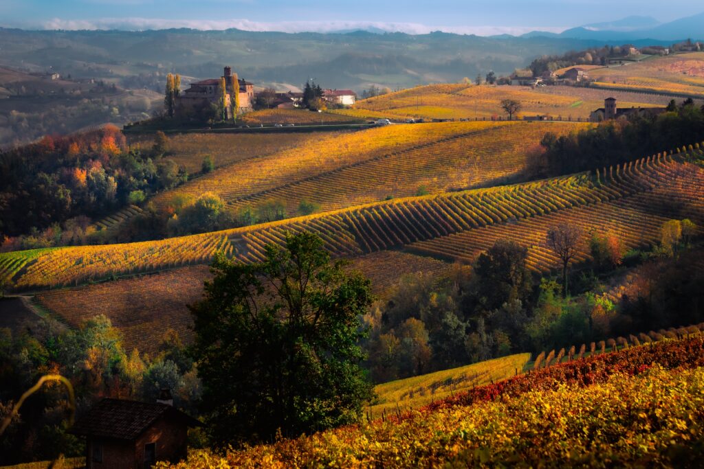 In Italia c’è un luogo dove l’autunno sembra dipinto tra vigneti dorati, borghi e tartufo
