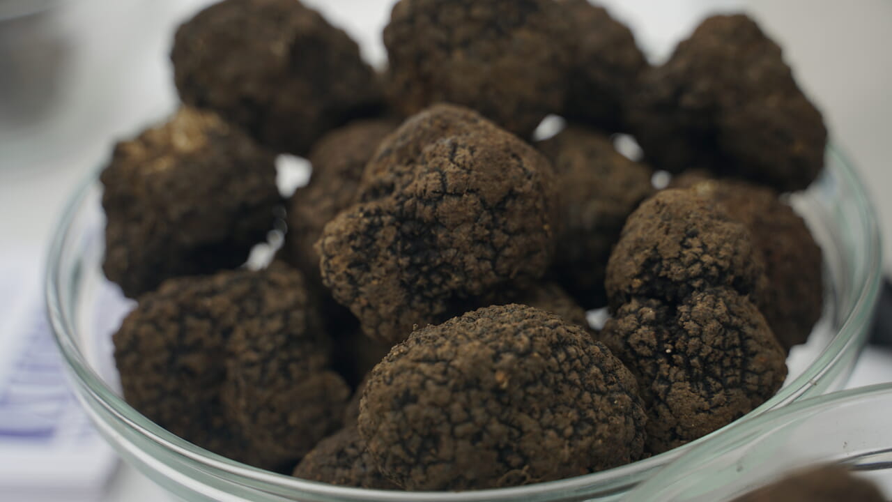 Il profumo del tartufo accende l’autunno di Bedonia