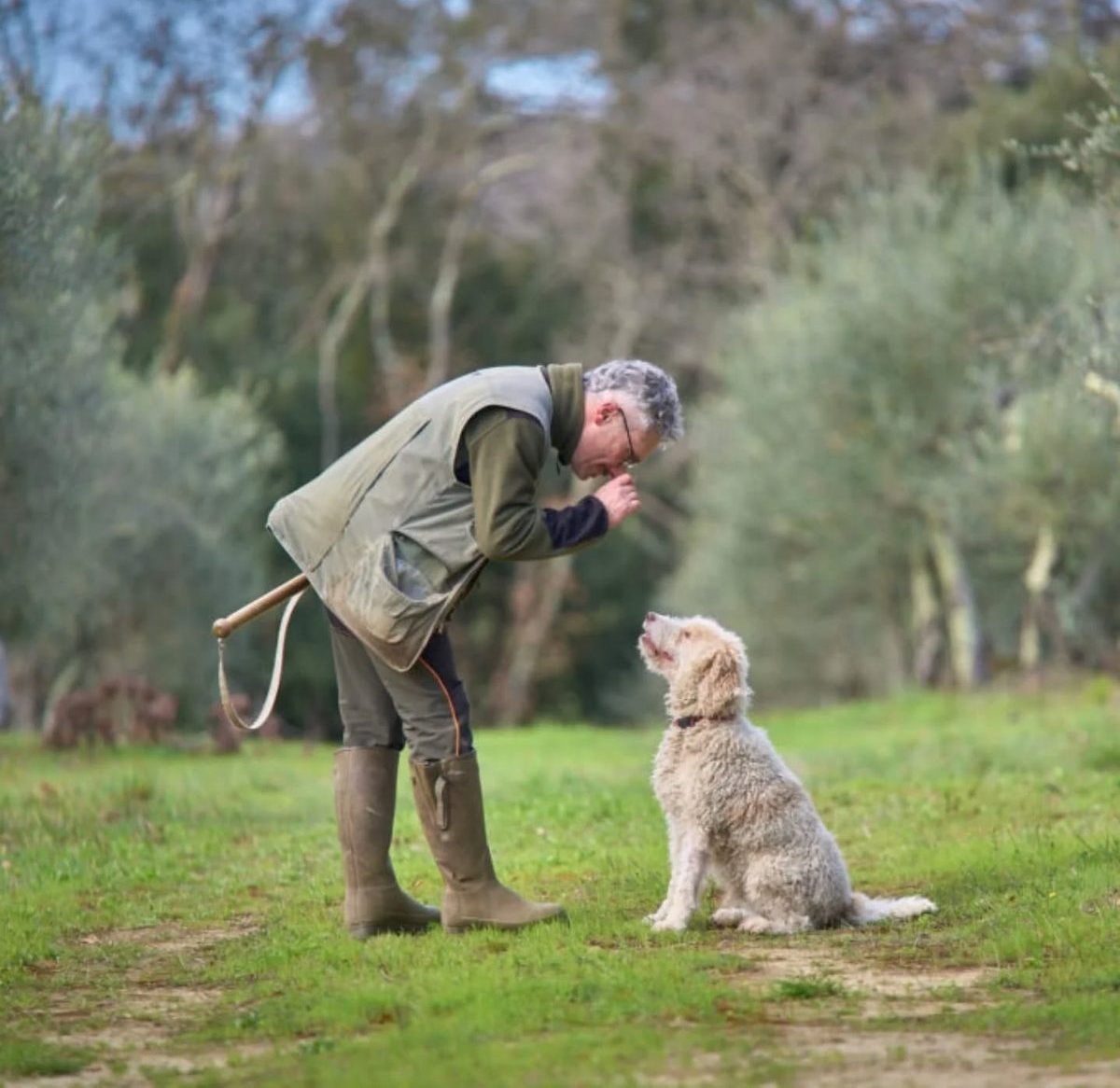 Tartufo bianco, prime indicazioni positive: San Giovanni d’Asso prepara la 40ª Mostra Mercato