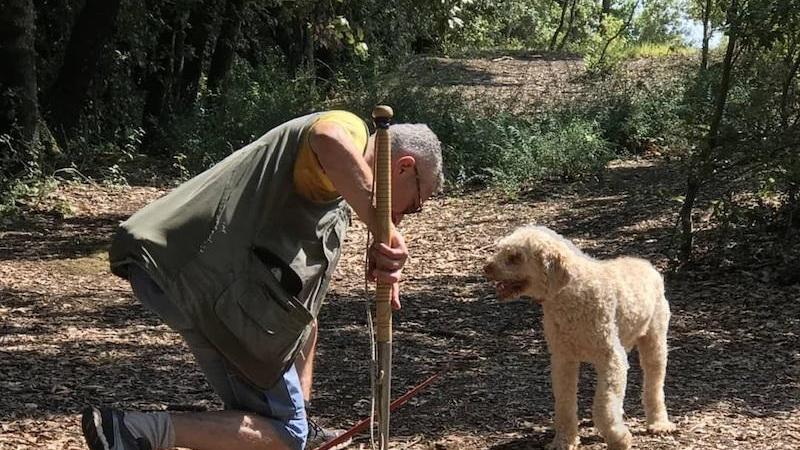 Crete Senesi, il tartufo. Ora la raccolta ha nuove regole
