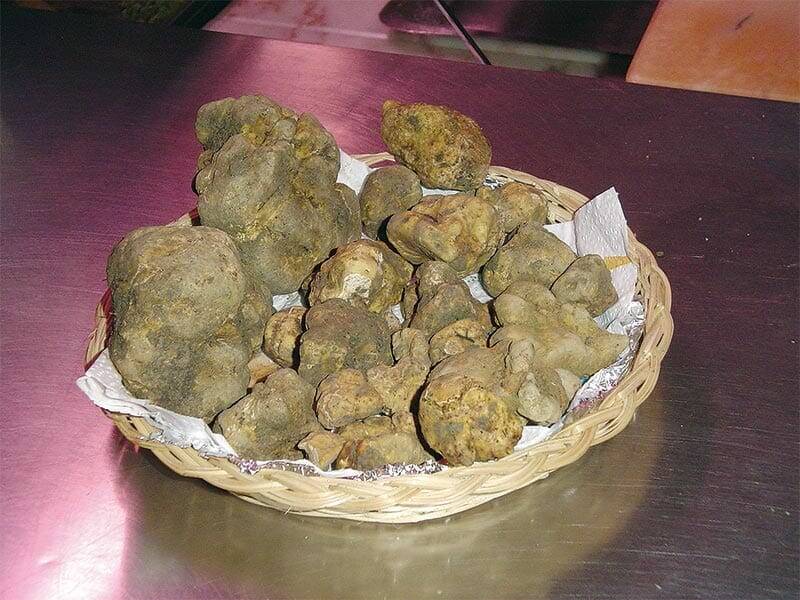 Millesimo, passeggiata nel borgo in occasione della tradizionale Festa Nazionale del Tartufo