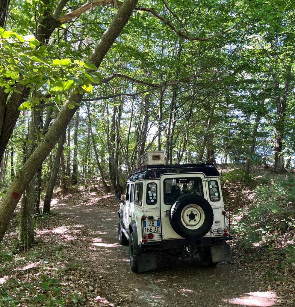 Ceriana, un weekend nel segno del tartufo: alla scoperta dell’entroterra ligure con cani da ricerca e cucina locale