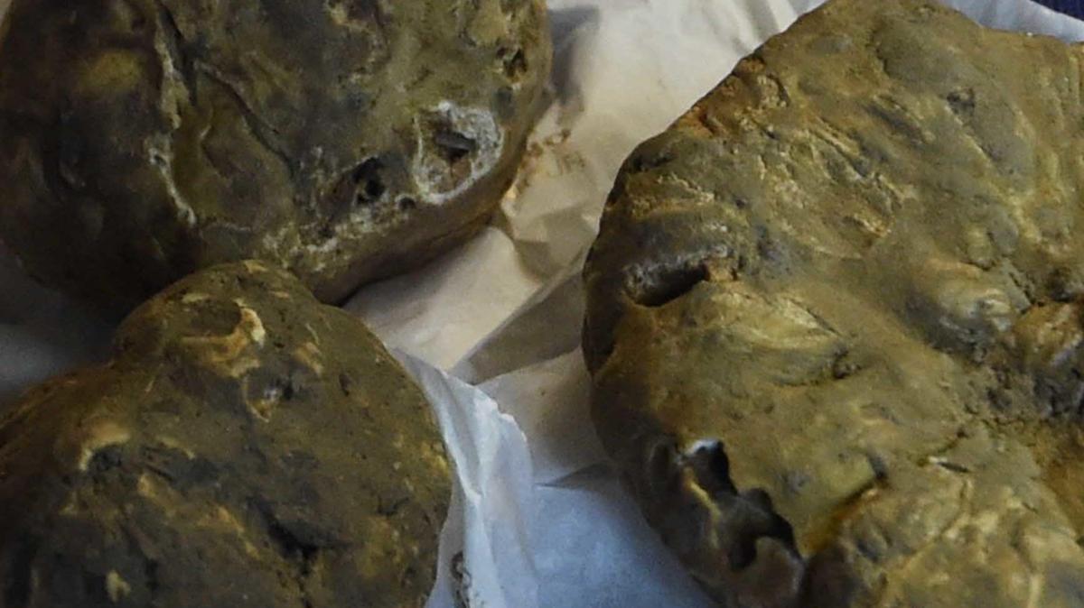 “Il caldo non compromette la cerca del tartufo bianco delle crete”