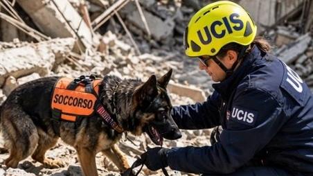 Cani supereroi a Viadana: oggi la manifestazione benefica