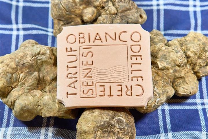 Montalcino: tartufo delle Crete Senesi, approvato il nuovo disciplinare per tutelare qualità, territorio e identità
