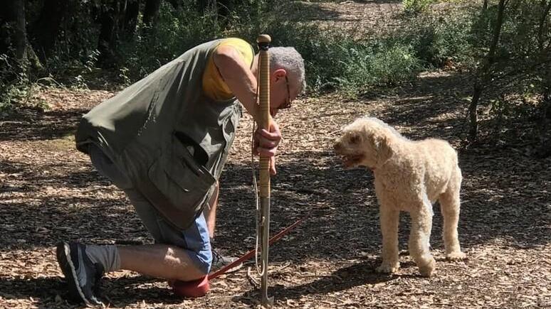 Tartufo e sperimentazione. Azienda diventa laboratorio