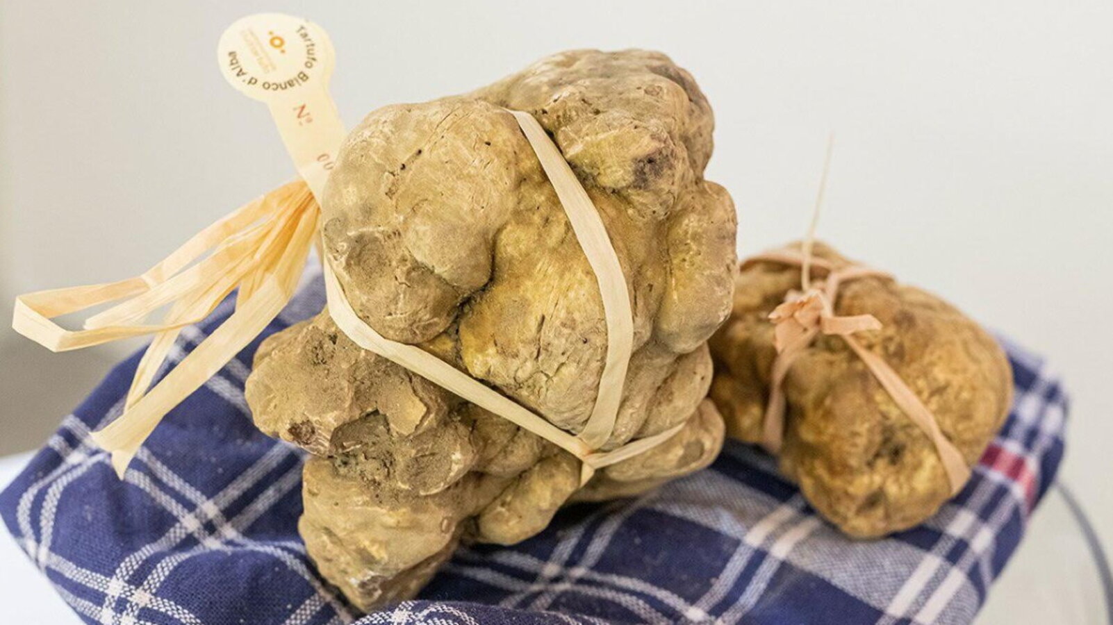 Lâautunno del tartufo parte da Alba