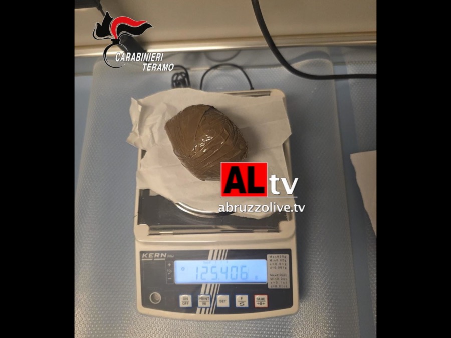 Cane da tartufo scava, e scova cocaina nei boschi di Corropoli
