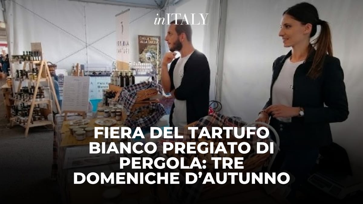 Fiera del Tartufo Bianco Pregiato di Pergola: tre domeniche d’autunno