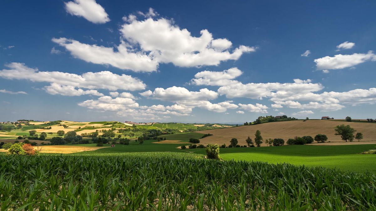 Autunno in Monferrato tra antichi infernot, arte diffusa e profumo di tartufo